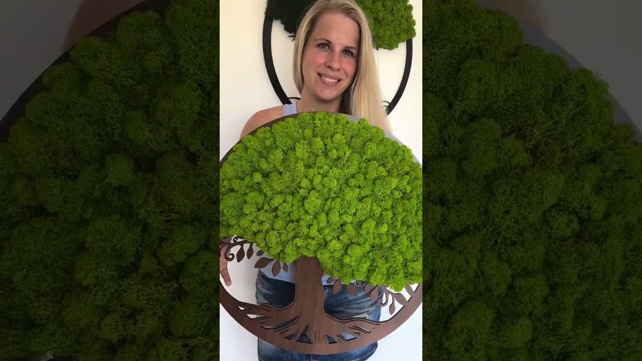 #stromzivota #mechovystrom Naděje 59 cm #moss