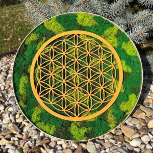 mandala-od-srdce-mechova-mandala-kvet-zivota