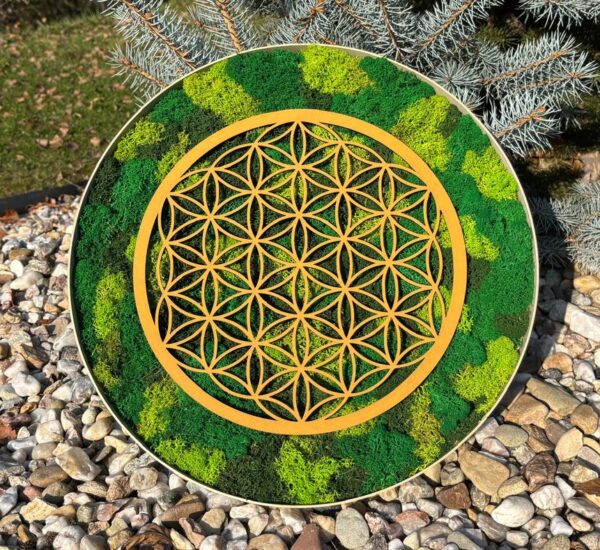 mandala-od-srdce-mechova-mandala-kvet-zivota