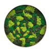 mandala-od-srdce-mechove-obrazy-11