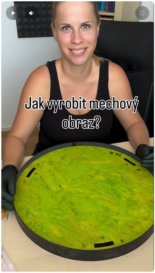 jak vyrobit mechovy obraz