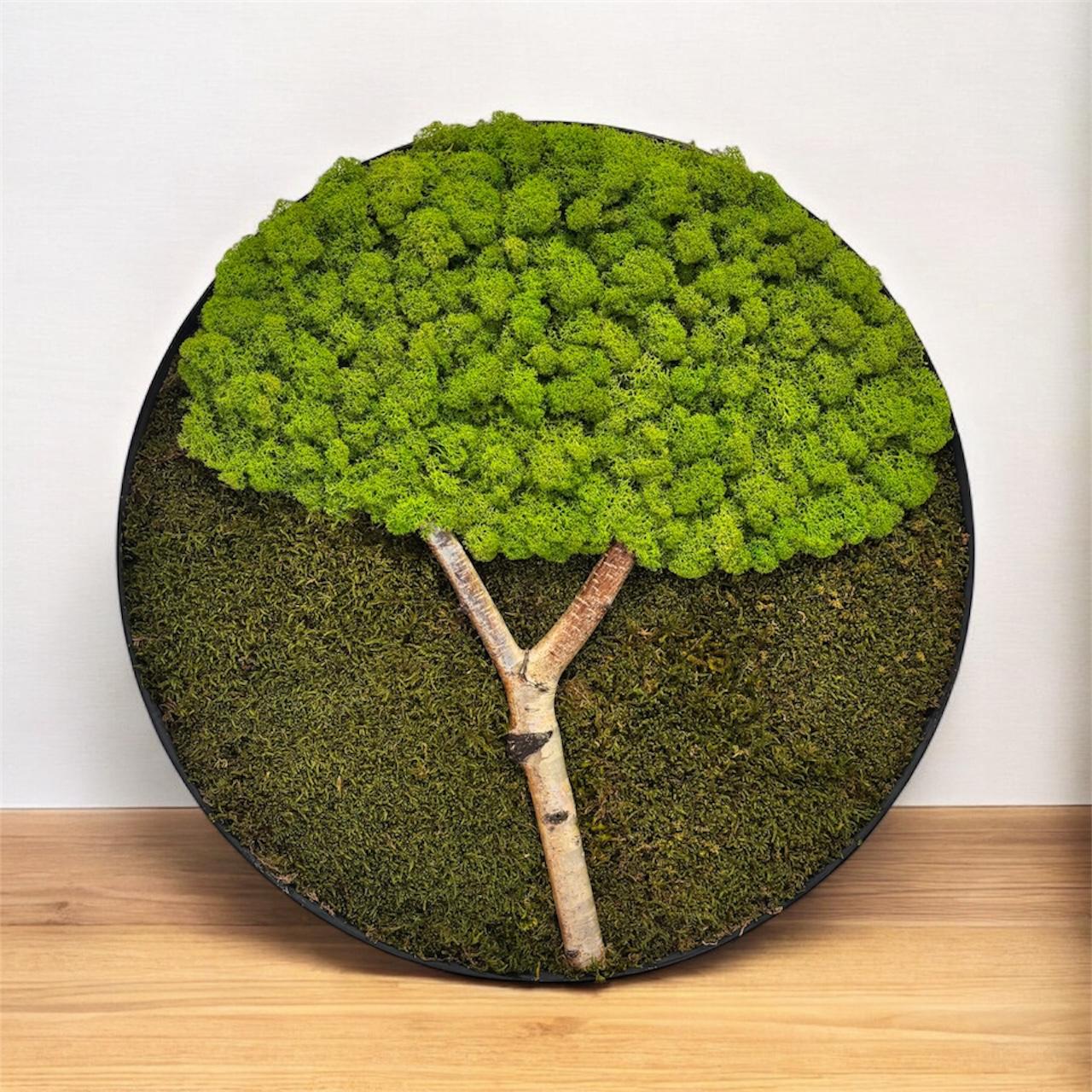 kruhovy-mechovy-obraz-50-cm-1