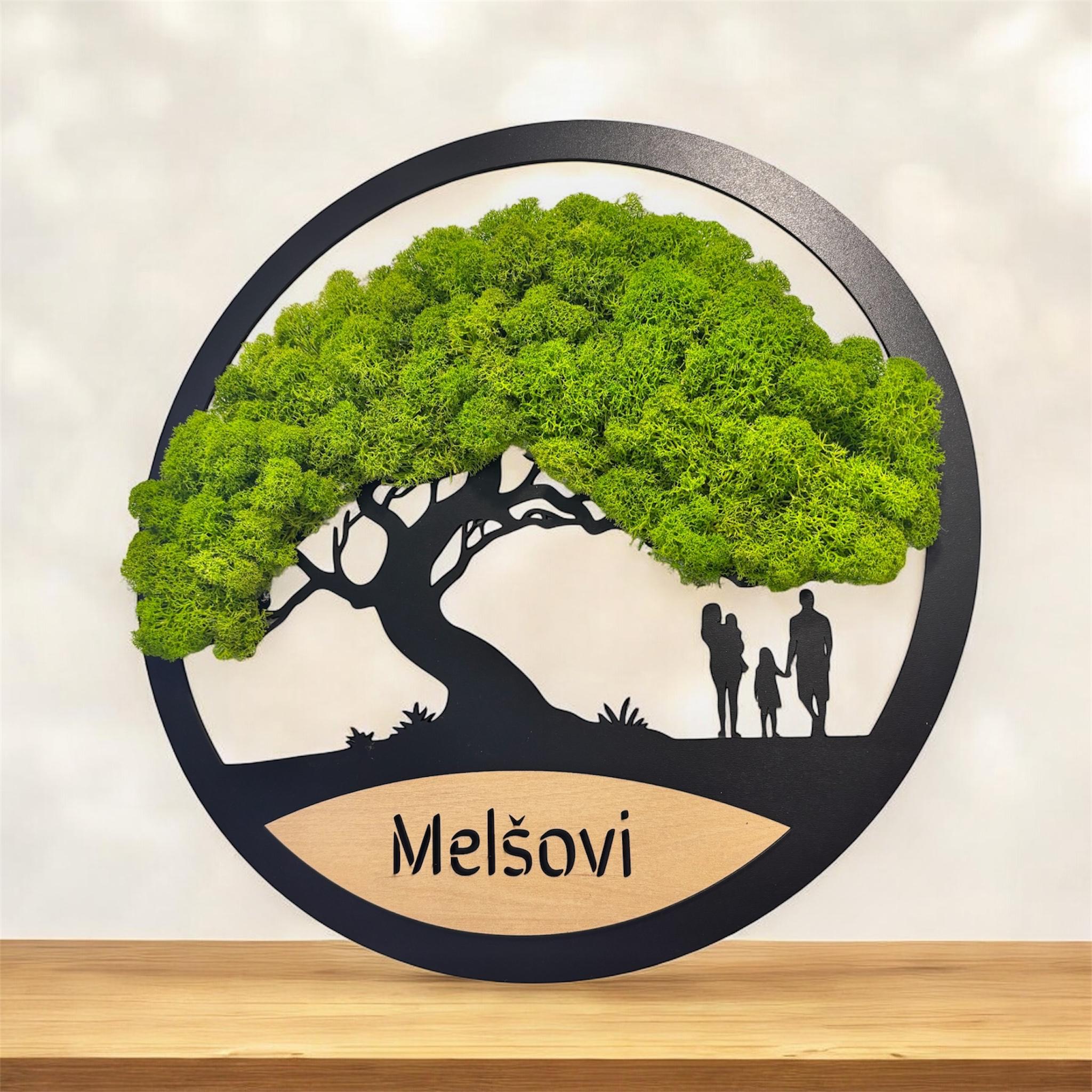 rodinny-mechovy-strom-jako-darek-1