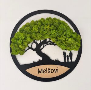 mandala od srdce rodinny mechovy strom 2 scaled e1761149164306