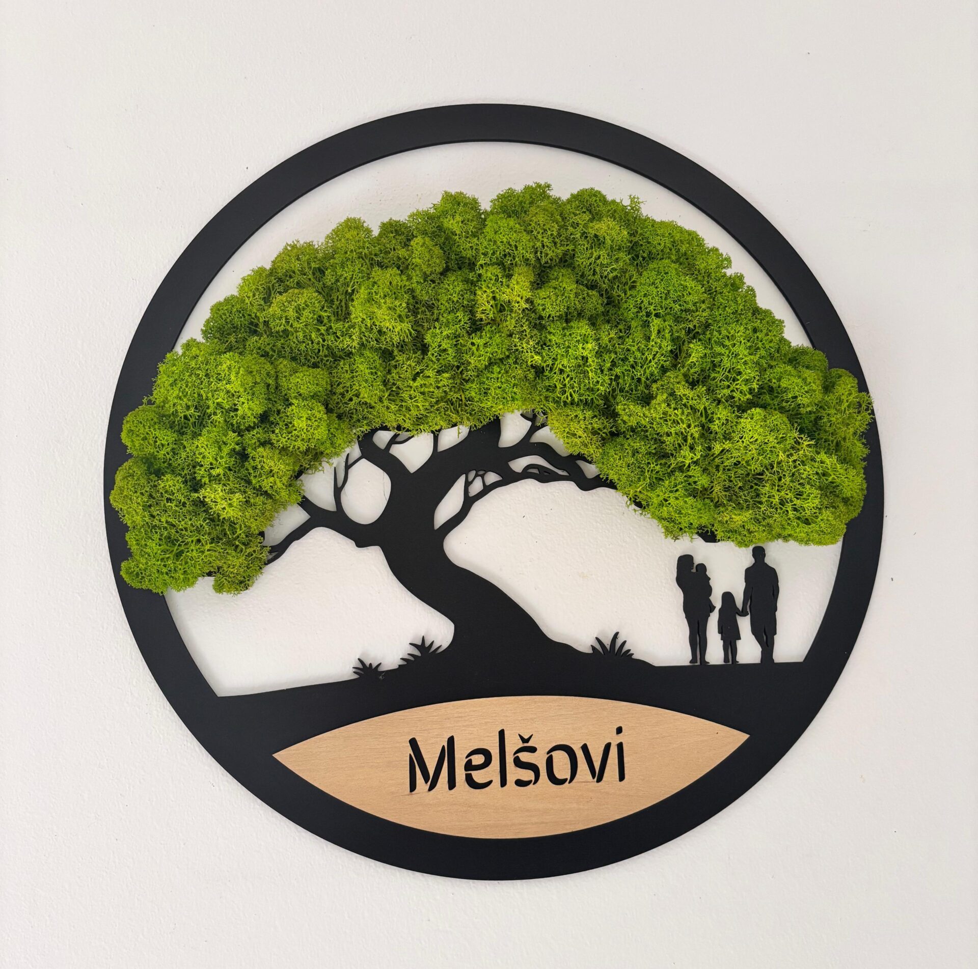 Rodinný mechový strom - Obrázek 2