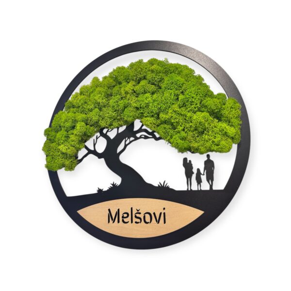 mechovy-rodinny-strom-10
