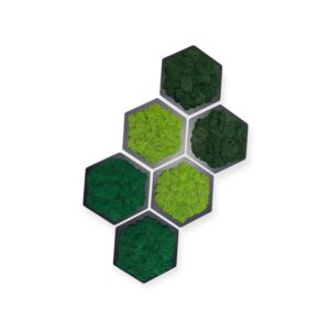 mandala-od-srdce-mechovy-hexagon-sada-4