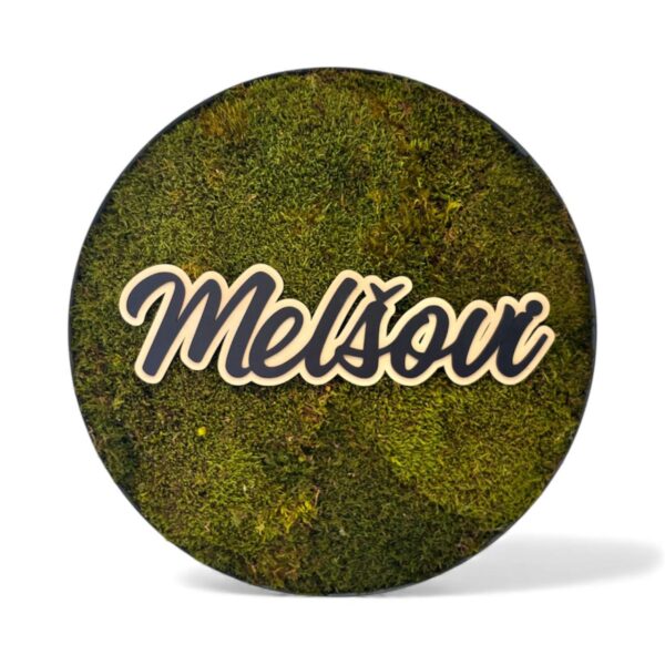 kulaty-mechový-obraz-50-cm-s-magnetem-7