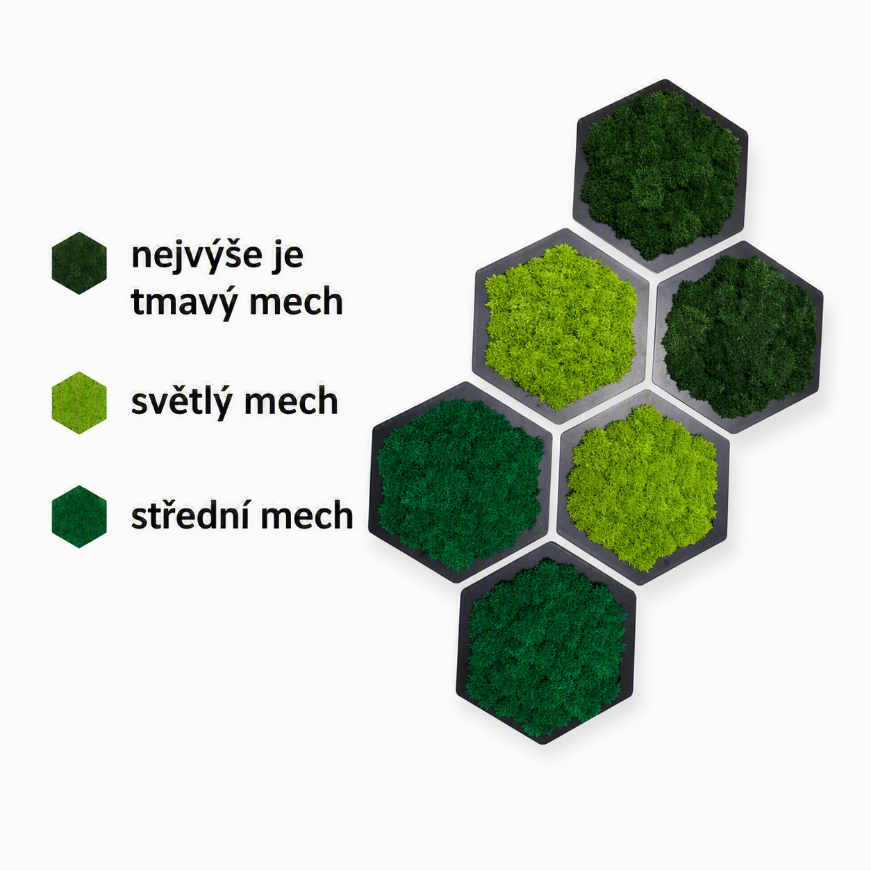 mechove-hexagony-popis