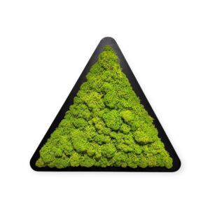 mandala-od-srdce-mechovy-trojuhelnik-1