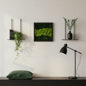 mechovy-obraz-27-27-lesni-rovnovaha-2